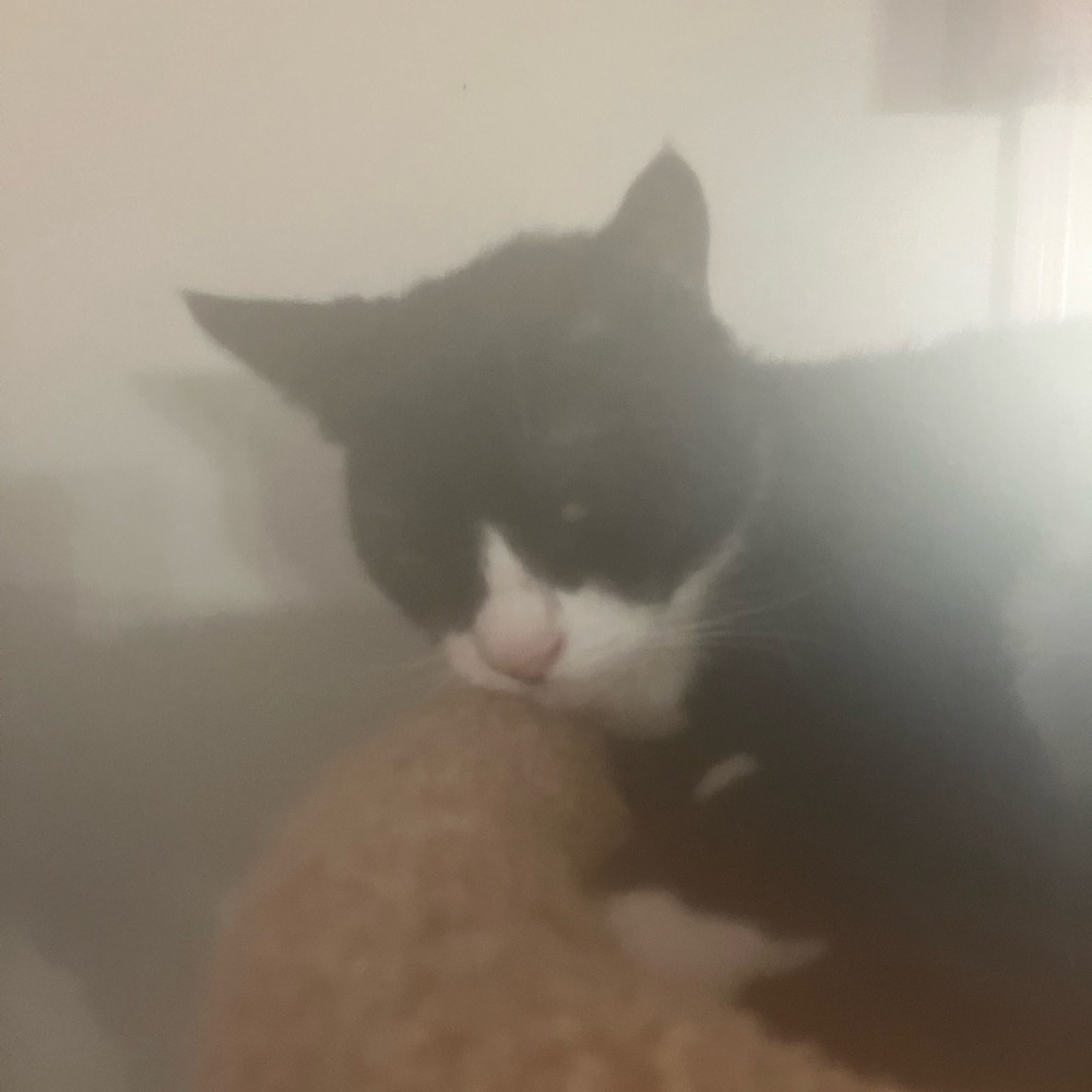 Meet your Posher, Lameshop